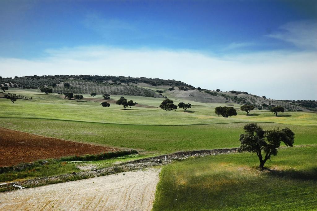Apartamentos Turisticos Cortijo Garces Alhama de Granada Extérieur photo